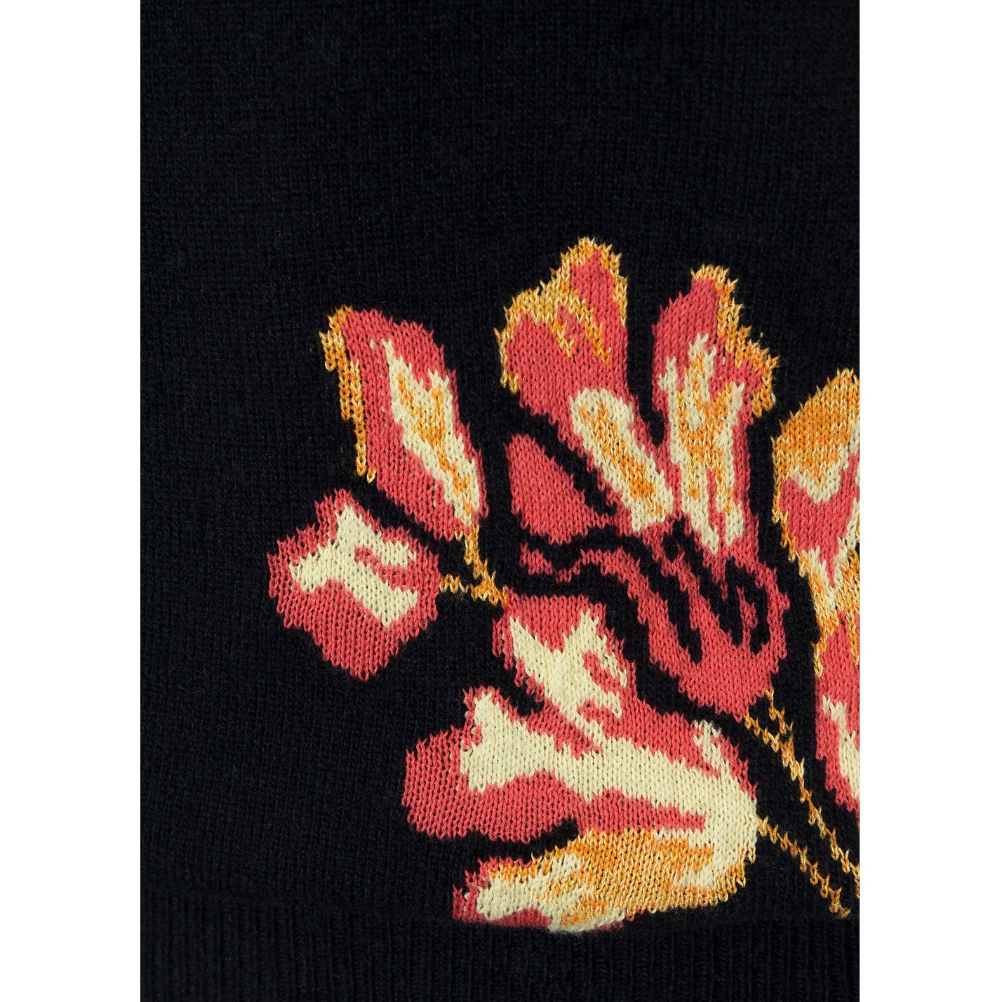 Peter Pilotto Fig Motif Sweater